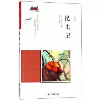 童年书系·书架上的经典：昆虫记（插图本）